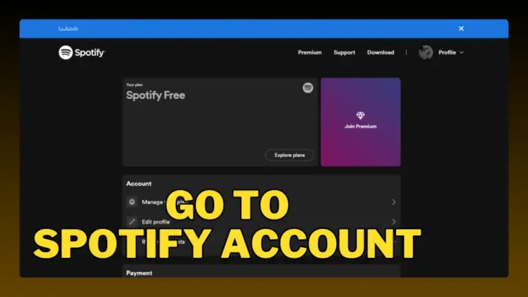 Ir a la cuenta de Spotify
